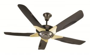 Ceiling fan